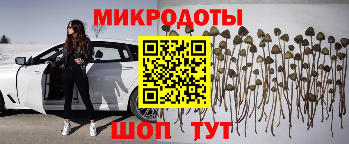 Псилоцибиновые грибы Magic Shrooms Кудымкар