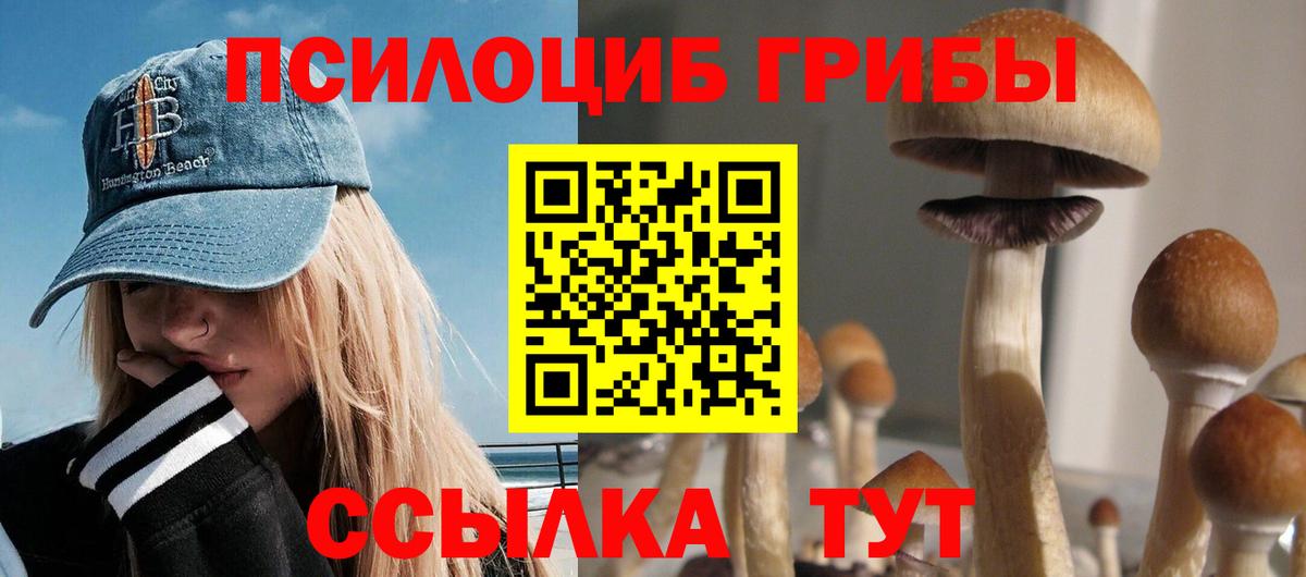 Псилоцибиновые грибы ЛСД  Вход с VPN  Псилоцибиновые грибы мицелий  Кудымкар 
